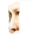 X14 (profile)